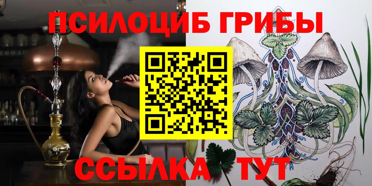 Псилоцибиновые грибы GOLDEN TEACHER Коломна